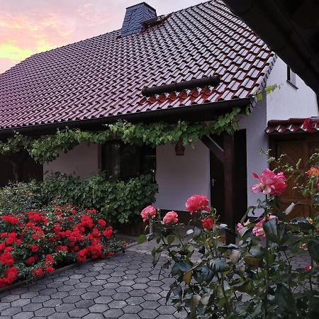 Ferienhaus Rosenhof Glaubitz Esterno foto