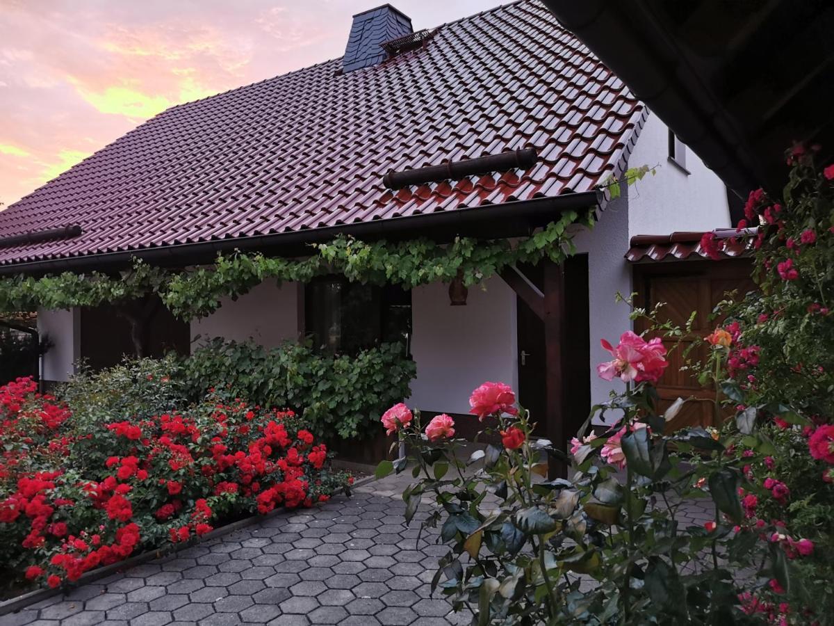 Ferienhaus Rosenhof Glaubitz Esterno foto