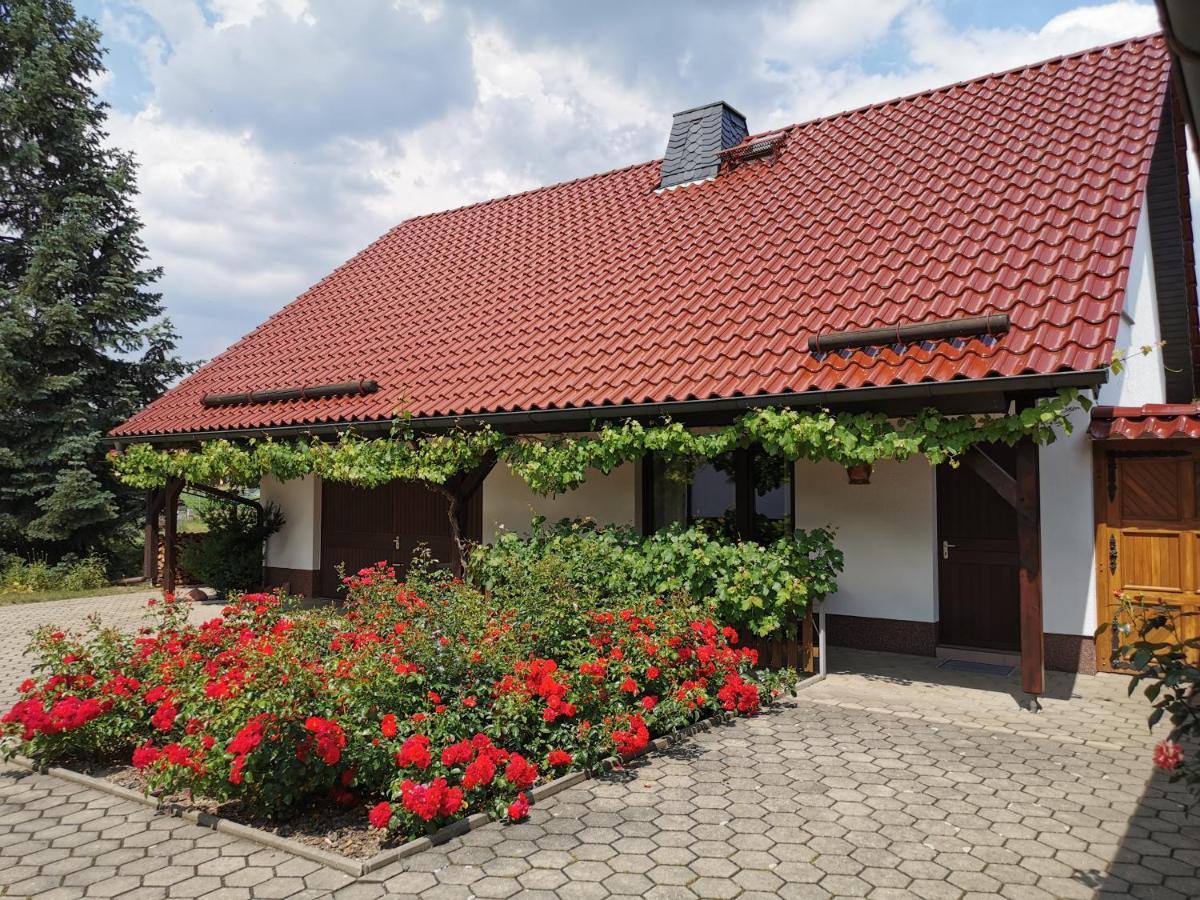 Ferienhaus Rosenhof Glaubitz Esterno foto