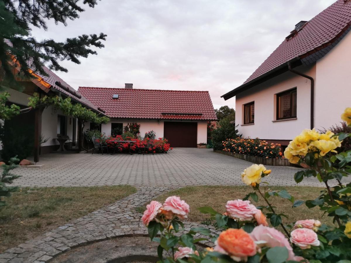 Ferienhaus Rosenhof Glaubitz Esterno foto
