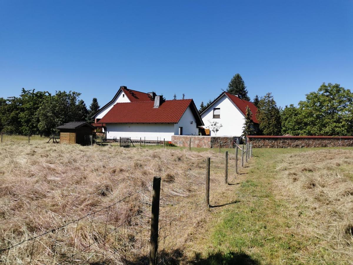 Ferienhaus Rosenhof Glaubitz Esterno foto