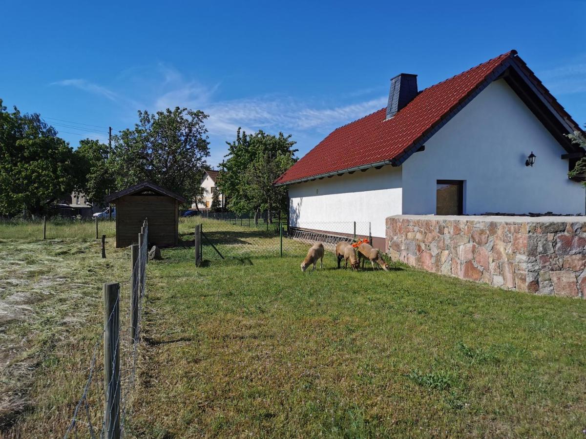 Ferienhaus Rosenhof Glaubitz Esterno foto